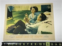 1962 Sweet Bird Of Youth 62/98 Original Movie