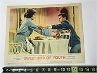 1962 Sweet Bird Of Youth 62/98 Original Movie