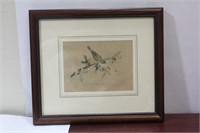 A Bird Print or Engraving