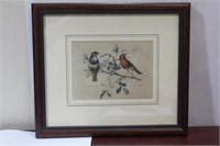 A Bird Print or Engraving
