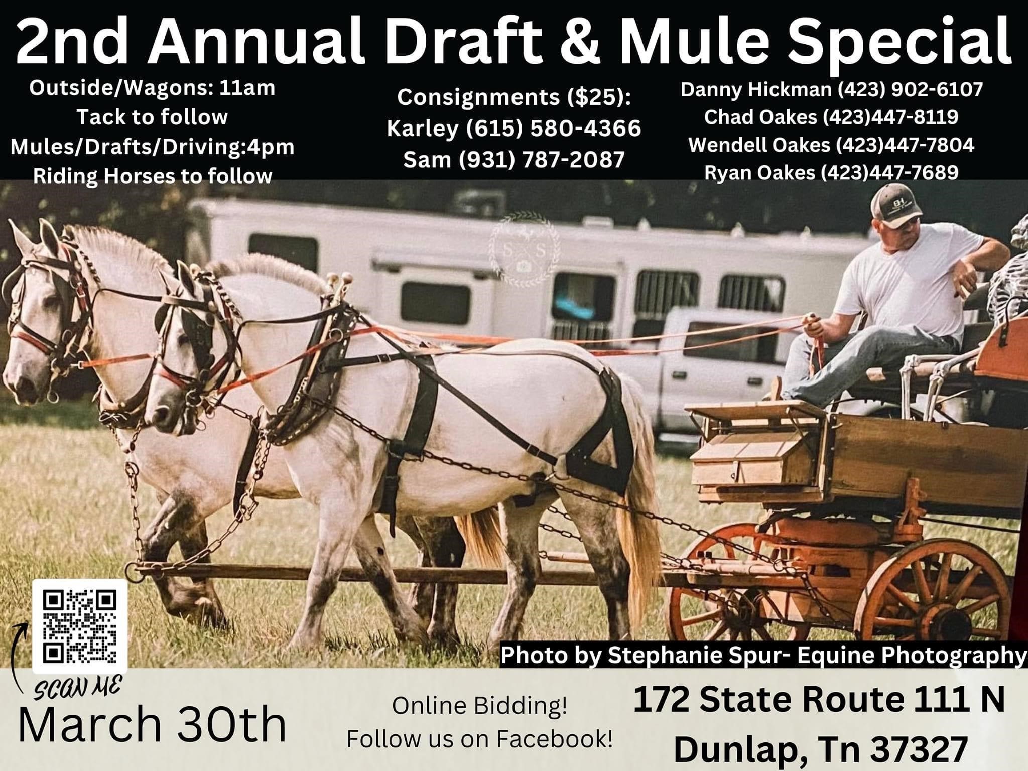 American Made Livestock Market 2nd Annual Draft & Mule Sale