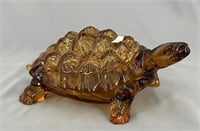 Covered Turtle - amber