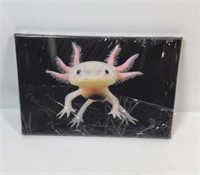 New Axolotl Canvas Poster