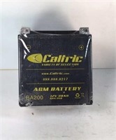 New Caltric AGM Battery