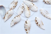 Natural White Shell Leaf 12pcs