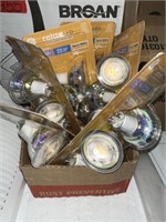 INDOOR FLOOD LIGHT BULBS