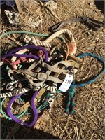 HALTERS AND LEADS