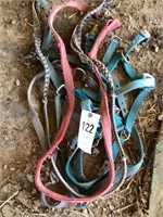 HALTERS, LEADS, REINS