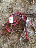 HEAD STALL, REINS, BREAST COLLAR