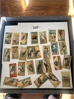 Large lot Antique Bird Cards