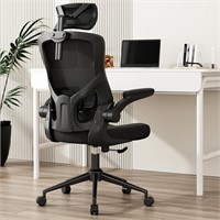 $220 Ergonomic Mesh Desk Chair