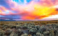 Secure This Deal on 10 Lots in New Mexico!