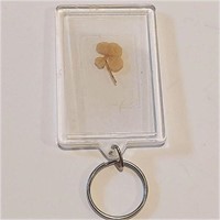 Genuine 4-Leaf Clover Keychain