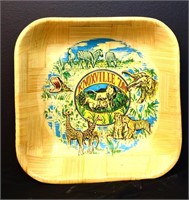 Vintage Knoxville Zoo souvenir square bowl