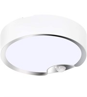 $32 Motion Sensor Ceiling Light