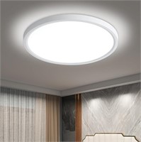 Afaoel 12 "LED Ceiling Light 24W Color Temperatur