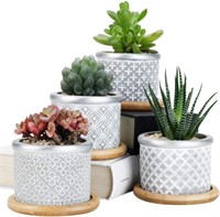 Sun-E Succulent Pots Planters,Cement Cactus Plant