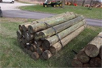 Roughly 24 posts 8ftx 6-8in