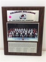 Colorado avalanche plaque