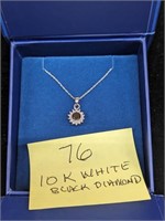 10k White Gold Necklace with .5ctw Black Diamond
