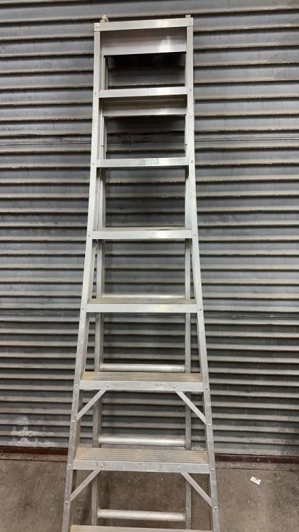 Aluminum Extension/Step Ladder
