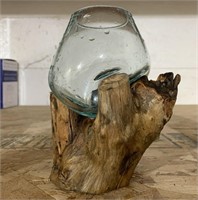 Blown Glass Bowl on Teak Wood-Plant Pot/Betta Bowl