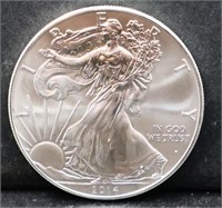 2014 silver eagle coin
