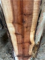 Redwood slab