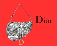 Christian Dior Calfskin Plan de Paris Saddle Bag