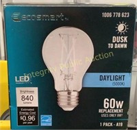 Ecosmart 60W LED Light Bulb