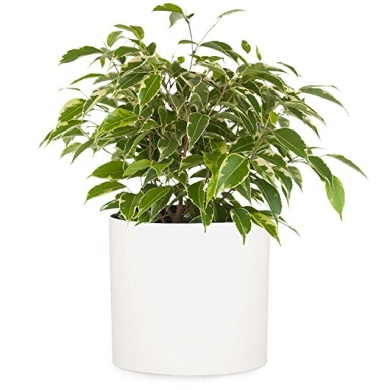 Fox & Fern Plant Pot, Plant Pots 10 Inch,