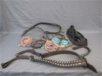 Lot Of Assorted Horse Leads & Equipment