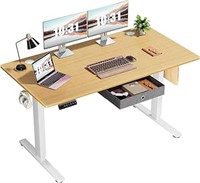 DUMOS Electric Standing Desk Adjustable Height, 55