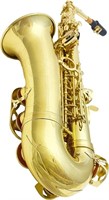 $360 Saxophone Lacquer Gold Beginners Kit,