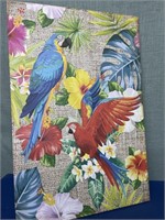 Parrots on Canvas 24 x 36”