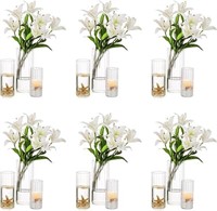 Nuptio Glass Cylinder Vases Set