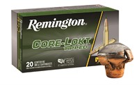 Remington Ammunition 29015 CoreLokt Tipped  243 Wi