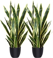 $110  Snake Plant 35  32 Leaves  2Pack