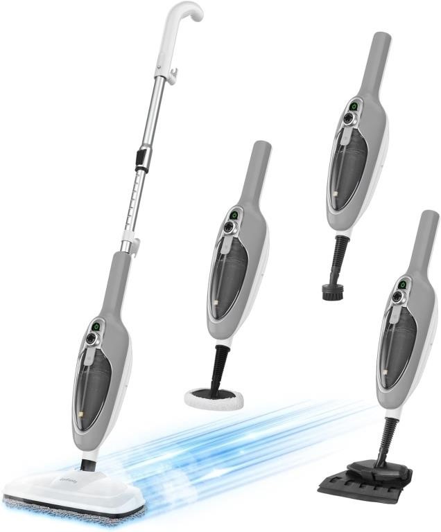 10-in-1 Handheld Steam Cleaner with 11 Accessories