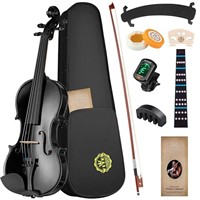 Beginner Violin Set