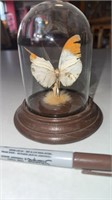 Mid Century Butterfly W/ Dried Flowers In Glass