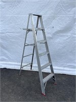 Light Duty Alum. 6 ft Step Ladder
