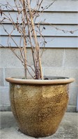 Large Ceramic Glazed Flower Pot