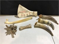 Assort animal bones and horns