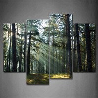 $63 Forest Wall Art