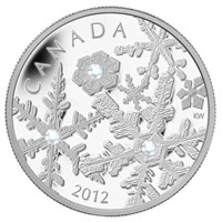2012 $20 Holiday Snowstorm - Pure Silver Coin
