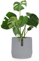 B538 & Fern Flower Pot 12 Inch Plant Pots