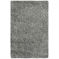 X1021  Mainstays Confetti Shag Indoor Rug 3x 48