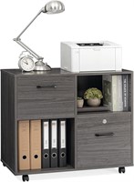 2-Drawer Wood File Cabinet