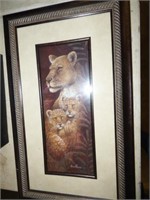 NICE LION PICTURE
